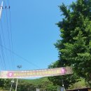 요거프레소 석모도점 이미지