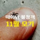 11월 4일(토) 가수 홍민의 타계로 본 그의 삶 이미지