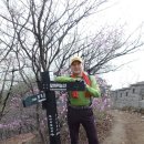 정릉2 이미지