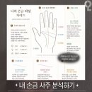 요즘 유행이라는 GPT 이미지 프롬포트 이미지