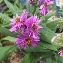 룸비니유치원 이미지