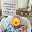 연세실버벨리 이미지