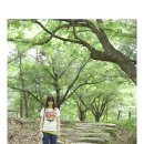 에코황토마을 이미지