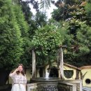 선팜하우스 이미지