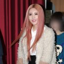 큐리코 Daum카페