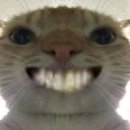 치킨클럽