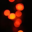 빛의 소나타 이미지