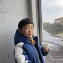 상귀리아 이미지