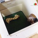 클라우스하우스