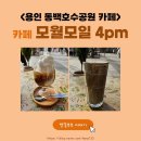 모월모일4PM | 동백호수공원 느낌있는 카페 모월모일4pm