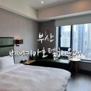 금수사우나 | [부산여행] 온천사우나가 무료인 베니키아호텔해운대/조식