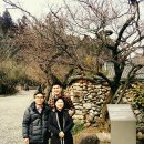 가족나들이 이미지