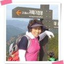 심석종 Daum카페
