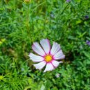 가평옛길 이미지