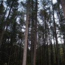 애니메이션고교 이미지