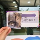 오전로 | 비영리 사단법인 포캣멍센터 봉사 후기❤️