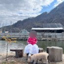 칠봉 송정 캠핑장 이미지