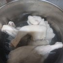 약초랑 닭이랑 이미지