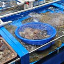 대천로뎀펜션 이미지