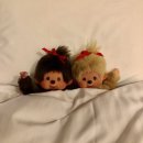 김밥여행모라점 | 제주2일차 _한라산 성판악코스 후기 .🏔️