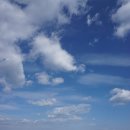 바다정원 이미지