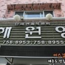선일자동차유리