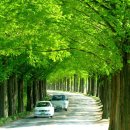 담양온천 이미지