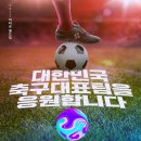 대한민국 축구대표팀을 응원합니다 이미지