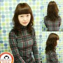 디자인웨이브