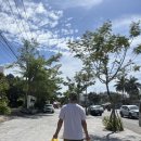 삼일마트 이미지