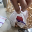 딥트 3일 다이어트 (피치맛번)찐후기