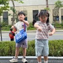 용인대 매산 태권도장&점프킹 줄넘기클럽 | 매교 매산태권도, 8살7살 6개월 찐후기
