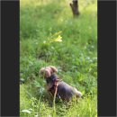 이로근린공원1 이미지