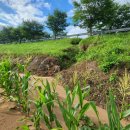 도경농장 이미지