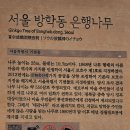방화천 Daum카페