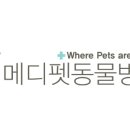 메디펫동물병원 이미지