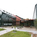 싱그랭이 이미지