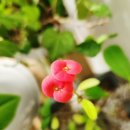 토니공인중개사사무소 이미지