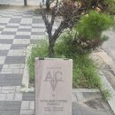 이디야커피인천송도학원가점 | [인천 송도]송도학원가카페 어빌리지커피, 디저트까지 완벽했던 송도커피맛집 방문 후기 ☕️🍰