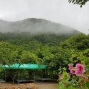 갈론계곡캠핑장 이미지