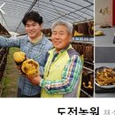 도전농장 이미지