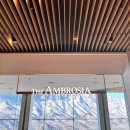 더엠브로시아 이미지