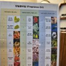 청주 이색데이트 향수만들기 &lt;오향수공방&gt; 대만족후기