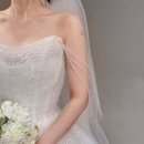 마리스포사앤아뜰리에레이나