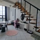 제주애견동반감성숙소 르페도라 이미지