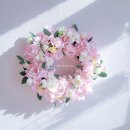 더데이리스 이미지