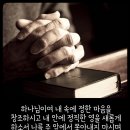 말씀나무 연구소 네이버블로그
