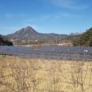 흥국태양광발전소 이미지