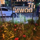 슬로우잇다운 이미지