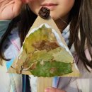 예쁨유치원 이미지